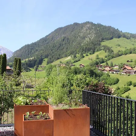 Park Mit Sauna Hamam Lägenhet Diemtigen