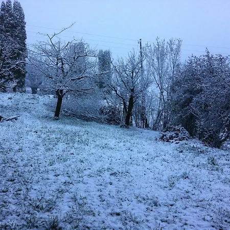 Park Mit Sauna Hamam Diemtigen