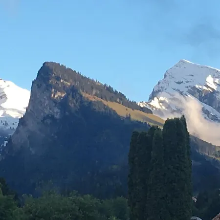 Park Mit Sauna Hamam Apartman Diemtigen