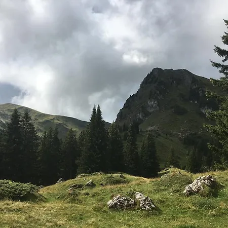 Lägenhet Park Mit Sauna Hamam Diemtigen