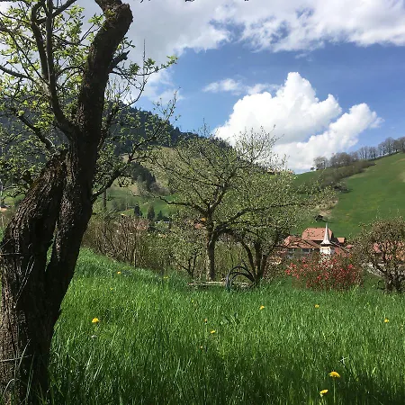 Park Mit Sauna Hamam Lägenhet