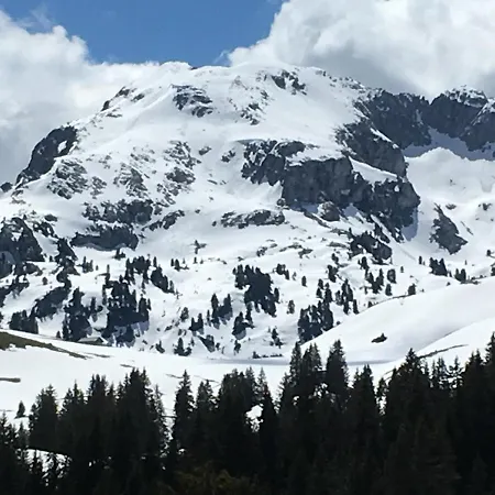 Park Mit Sauna Hamam Diemtigen