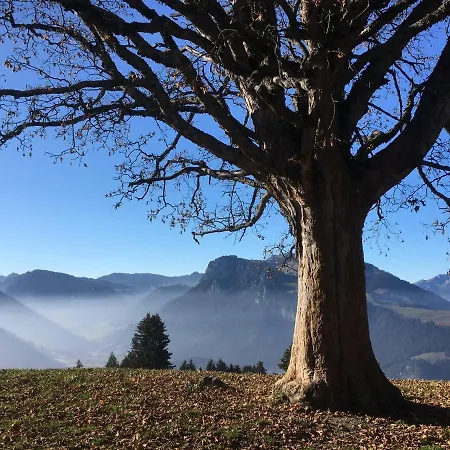 Park Mit Sauna Hamam Lägenhet *