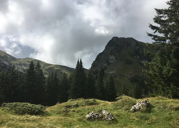 Apartamento Park Mit Sauna Hamam Diemtigen