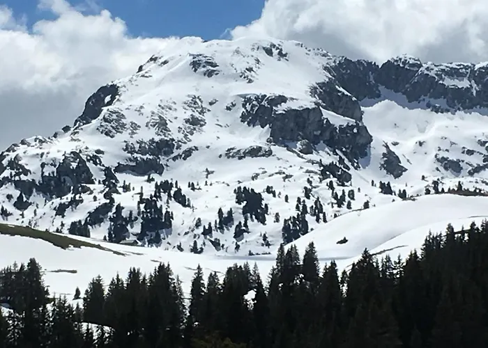 Park Mit Sauna Hamam Diemtigen