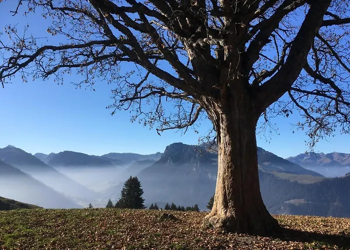 Park Mit Sauna Hamam Apartamento *