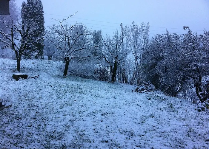 Park Mit Sauna Hamam Diemtigen